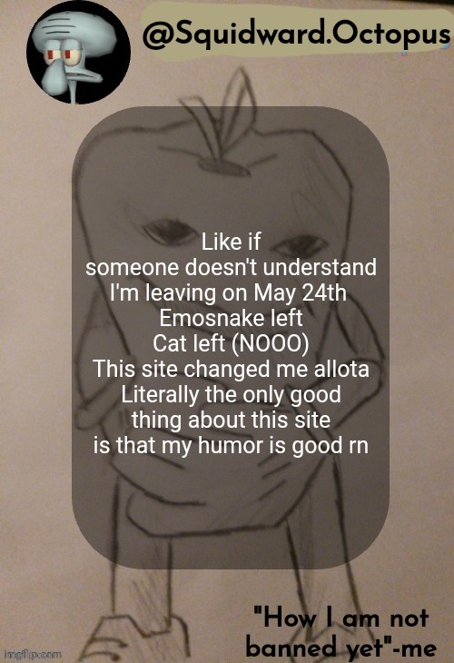 dingus | Like if someone doesn't understand I'm leaving on May 24th 
Emosnake left
Cat left (NOOO)
This site changed me allota

Literally the only good thing about this site is that my humor is good rn | image tagged in dingus | made w/ Imgflip meme maker