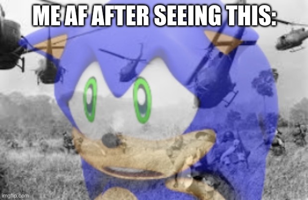 Sonic veitnam war | ME AF AFTER SEEING THIS: | image tagged in sonic veitnam war | made w/ Imgflip meme maker