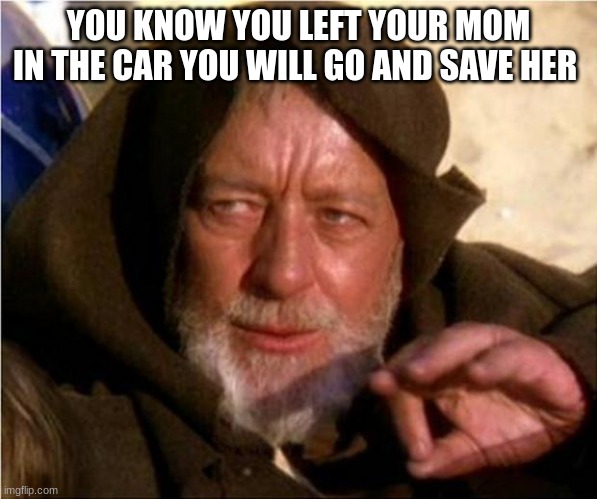 Jedi Mind Trick | YOU KNOW YOU LEFT YOUR MOM IN THE CAR YOU WILL GO AND SAVE HER | image tagged in jedi mind trick | made w/ Imgflip meme maker