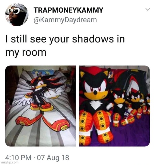 I still see them | image tagged in sonic,shadow the hedgehog,funny,gaming | made w/ Imgflip meme maker