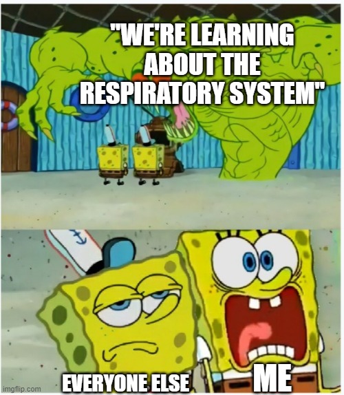 I had to learn this crap today. | "WE'RE LEARNING ABOUT THE RESPIRATORY SYSTEM"; ME; EVERYONE ELSE | image tagged in spongebob squarepants scared but also not scared,school | made w/ Imgflip meme maker