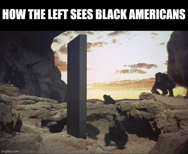 And they keep proving it | HOW THE LEFT SEES BLACK AMERICANS | image tagged in democrats,that's racist | made w/ Imgflip meme maker