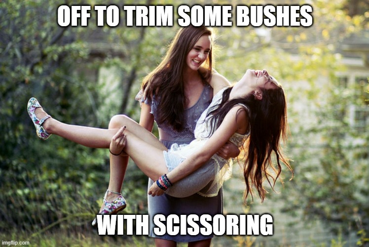 Trim the Bushes | OFF TO TRIM SOME BUSHES; WITH SCISSORING | image tagged in lesbian | made w/ Imgflip meme maker