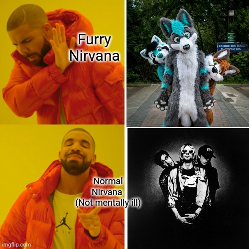 Drake Hotline Bling | Furry Nirvana; Normal Nirvana 
(Not mentally ill) | image tagged in memes,drake hotline bling,furry,anti furry | made w/ Imgflip meme maker