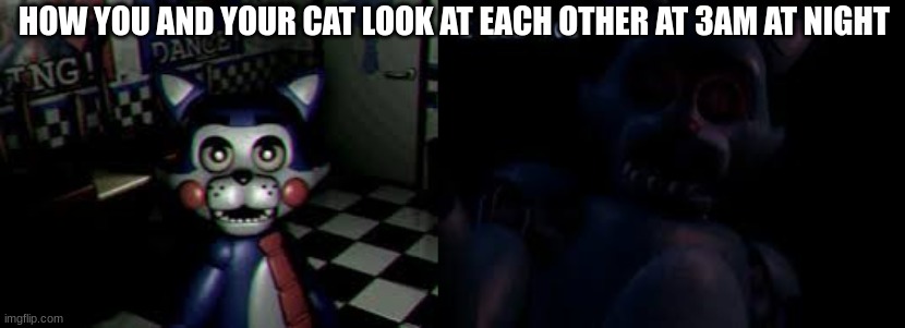 It do be true tho | HOW YOU AND YOUR CAT LOOK AT EACH OTHER AT 3AM AT NIGHT | image tagged in so true memes | made w/ Imgflip meme maker