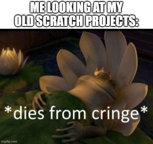 I wish I didn't do it... | ME LOOKING AT MY OLD SCRATCH PROJECTS: | image tagged in dies from cringe,memes,funny,scratch | made w/ Imgflip meme maker