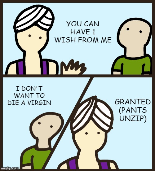 Genie Wish | YOU CAN HAVE 1 WISH FROM ME; I DON'T WANT TO DIE A VIRGIN; GRANTED (PANTS UNZIP) | image tagged in sex jokes | made w/ Imgflip meme maker