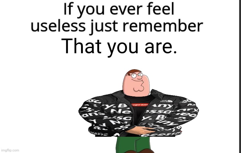 If you ever feel useless remember this | That you are. | image tagged in if you ever feel useless remember this | made w/ Imgflip meme maker