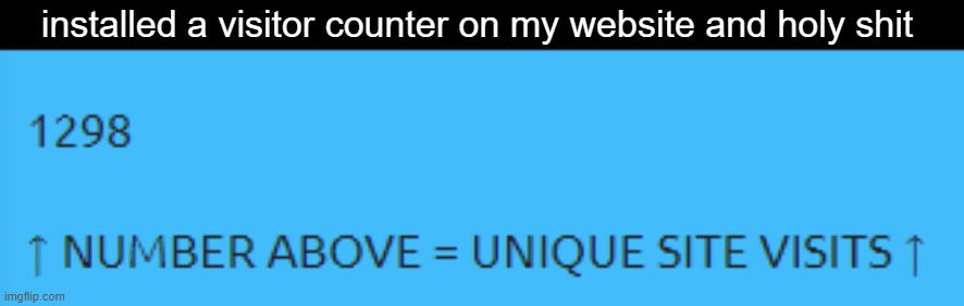 installed a visitor counter on my website and holy shit | made w/ Imgflip meme maker