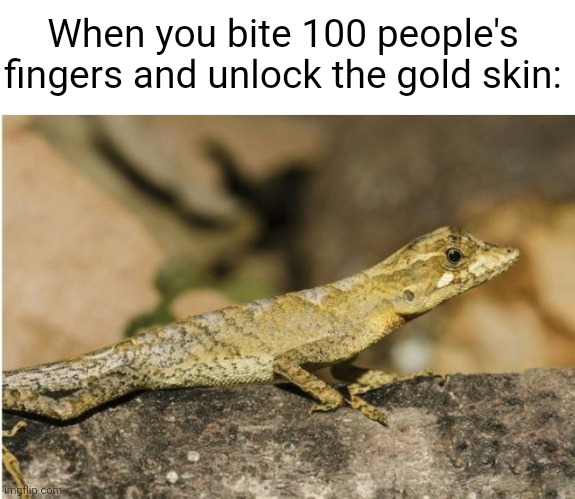 Brown anoles will literally bite anything. I once got woken up by an anole that somehow got into my room, biting my nose | When you bite 100 people's fingers and unlock the gold skin: | image tagged in anole | made w/ Imgflip meme maker