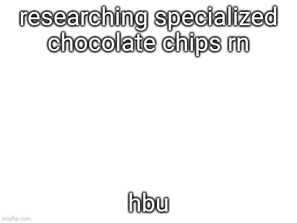 researching specialized chocolate chips rn; hbu | made w/ Imgflip meme maker