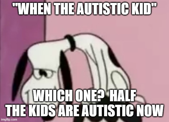 The snoops | "WHEN THE AUTISTIC KID"; WHICH ONE?  HALF THE KIDS ARE AUTISTIC NOW | image tagged in the snoops | made w/ Imgflip meme maker