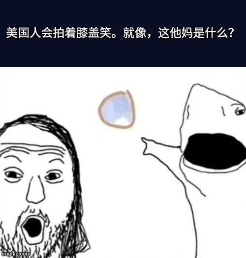 ㅤ | 美国人会拍着膝盖笑。就像，这他妈是什么？ | image tagged in soyjack and shark pointing,chinese,soyjak,wojak | made w/ Imgflip meme maker