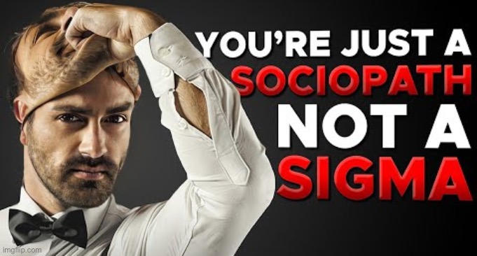 You're just a sociopath not a sigma | image tagged in you're just a sociopath not a sigma | made w/ Imgflip meme maker