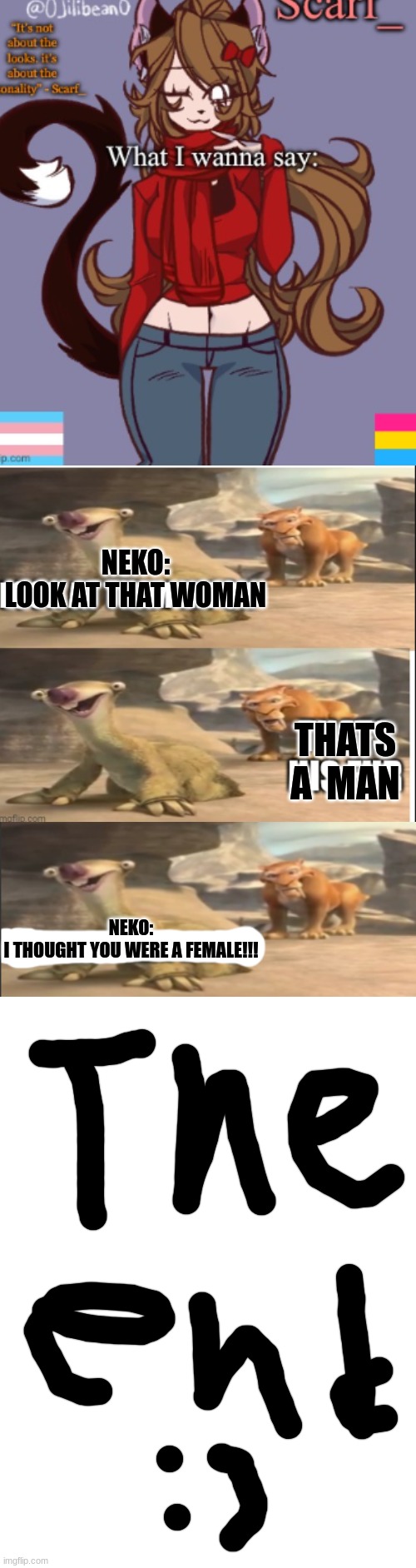 NEKO LORE | NEKO:
LOOK AT THAT WOMAN; THATS A  MAN; NEKO:
I THOUGHT YOU WERE A FEMALE!!! | image tagged in long white blank template | made w/ Imgflip meme maker