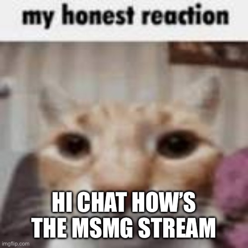 My Honest Reaction | HI CHAT HOW’S THE MSMG STREAM | image tagged in my honest reaction | made w/ Imgflip meme maker