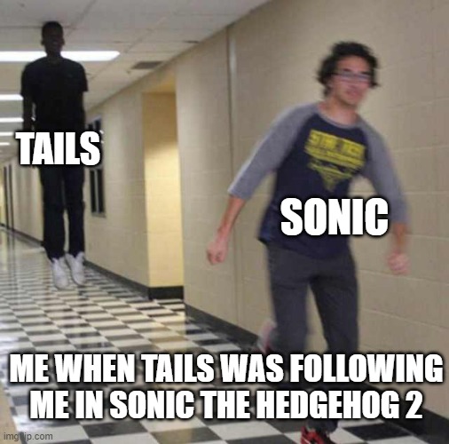 When Tails was Chasing Me In Sonic 2 | TAILS; SONIC; ME WHEN TAILS WAS FOLLOWING ME IN SONIC THE HEDGEHOG 2 | image tagged in floating boy chasing running boy | made w/ Imgflip meme maker