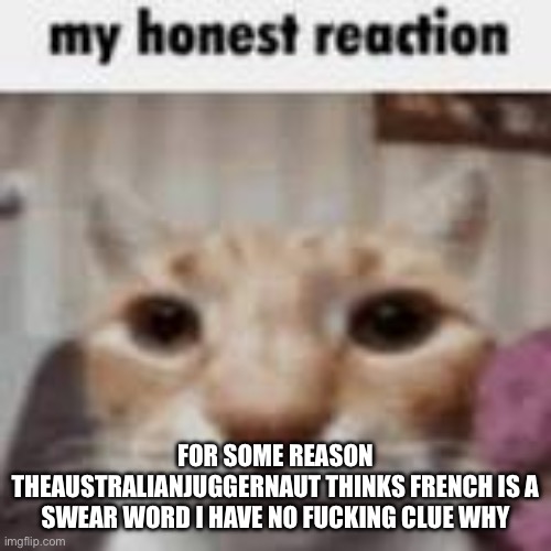 My Honest Reaction | FOR SOME REASON THEAUSTRALIANJUGGERNAUT THINKS FRENCH IS A SWEAR WORD I HAVE NO FUCKING CLUE WHY | image tagged in my honest reaction | made w/ Imgflip meme maker