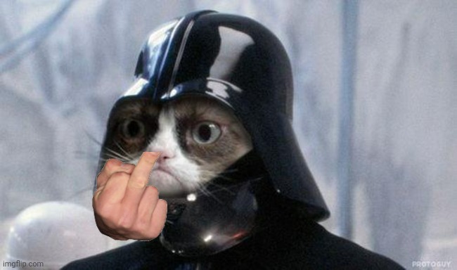 Grumpy Cat Star Wars | image tagged in memes,grumpy cat star wars,grumpy cat | made w/ Imgflip meme maker