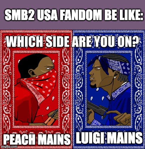 WHICH SIDE ARE YOU ON? | SMB2 USA FANDOM BE LIKE:; PEACH MAINS; LUIGI MAINS | image tagged in which side are you on,smb2,smb,smb2 usa,funny,gaming | made w/ Imgflip meme maker