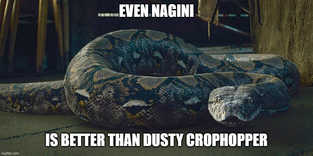 Nagini | EVEN NAGINI; IS BETTER THAN DUSTY CROPHOPPER | image tagged in nagini | made w/ Imgflip meme maker