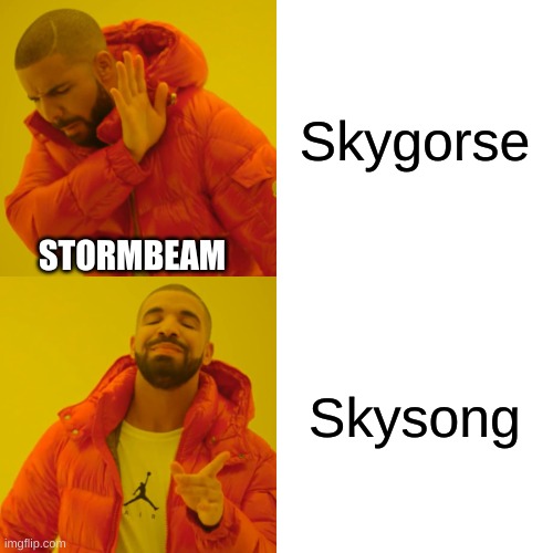 Stormbeam shipping | Skygorse; STORMBEAM; Skysong | image tagged in memes,drake hotline bling | made w/ Imgflip meme maker