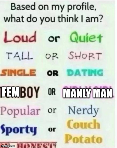 based on my profile what do you think I am? | MANLY MAN; FEM | image tagged in based on my profile what do you think i am | made w/ Imgflip meme maker