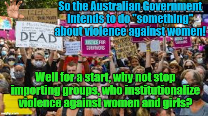 Violence against women and girls, why not make a start. | So the Australian Government intends to do "something" about violence against women! Yarra Man; Well for a start, why not stop importing groups, who institutionalize violence against women and girls? | image tagged in australia,domestic violence,sweden,germany,uk,us | made w/ Imgflip meme maker