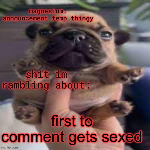 pug temp | first to comment gets sexed | image tagged in pug temp | made w/ Imgflip meme maker