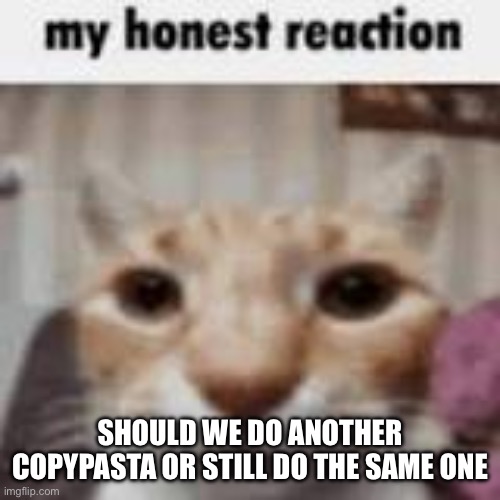 My Honest Reaction | SHOULD WE DO ANOTHER COPYPASTA OR STILL DO THE SAME ONE | image tagged in my honest reaction | made w/ Imgflip meme maker
