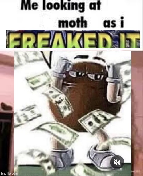 me looking at moth as i swallow the lamp | image tagged in me looking at moth as i swallow the lamp | made w/ Imgflip meme maker