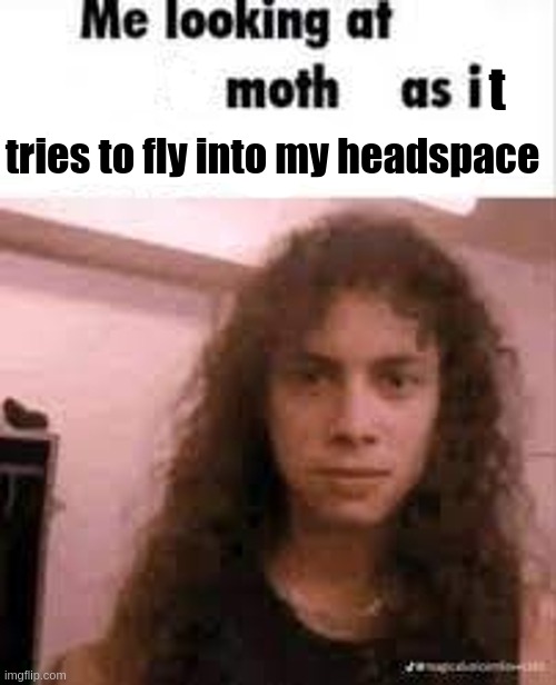 me looking at moth as i swallow the lamp | t; tries to fly into my headspace | image tagged in me looking at moth as i swallow the lamp | made w/ Imgflip meme maker