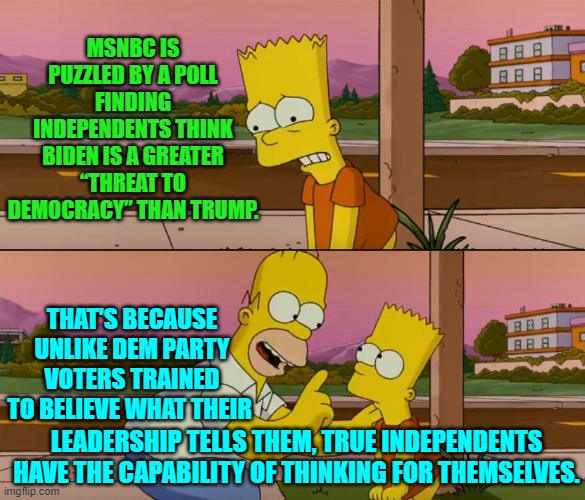 Imagine that Democrats . . . thinking for oneself. | MSNBC IS PUZZLED BY A POLL FINDING INDEPENDENTS THINK BIDEN IS A GREATER “THREAT TO DEMOCRACY” THAN TRUMP. THAT'S BECAUSE UNLIKE DEM PARTY VOTERS TRAINED TO BELIEVE WHAT THEIR; LEADERSHIP TELLS THEM, TRUE INDEPENDENTS HAVE THE CAPABILITY OF THINKING FOR THEMSELVES. | image tagged in yep | made w/ Imgflip meme maker