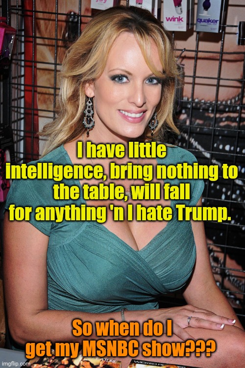 Stormy puts Rachel, Joy 'n Jen on notice! | I have little intelligence, bring nothing to the table, will fall for anything 'n I hate Trump. So when do I get my MSNBC show??? | image tagged in stormy daniels | made w/ Imgflip meme maker