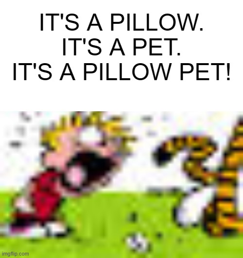 Calvin And Hobbes "You can't DO THAT!" | IT'S A PILLOW.
IT'S A PET.
IT'S A PILLOW PET! | image tagged in calvin and hobbes you can't do that | made w/ Imgflip meme maker