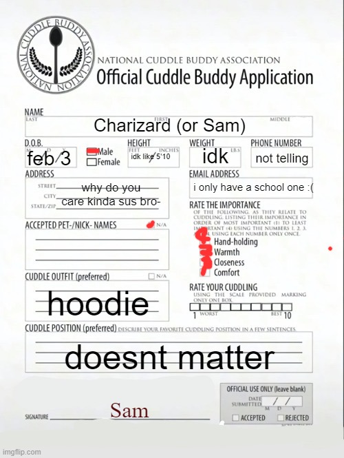 Cuddle Buddy Application | Charizard (or Sam); idk; not telling; idk like 5'10; feb 3; why do you care kinda sus bro-; i only have a school one :(; hoodie; doesnt matter; Sam | image tagged in cuddle buddy application | made w/ Imgflip meme maker