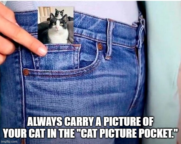 memes by Brad - always carry a picture of your cat | ALWAYS CARRY A PICTURE OF YOUR CAT IN THE "CAT PICTURE POCKET." | image tagged in funny,cats,cute kitten,picture,funny cat memes,humor | made w/ Imgflip meme maker