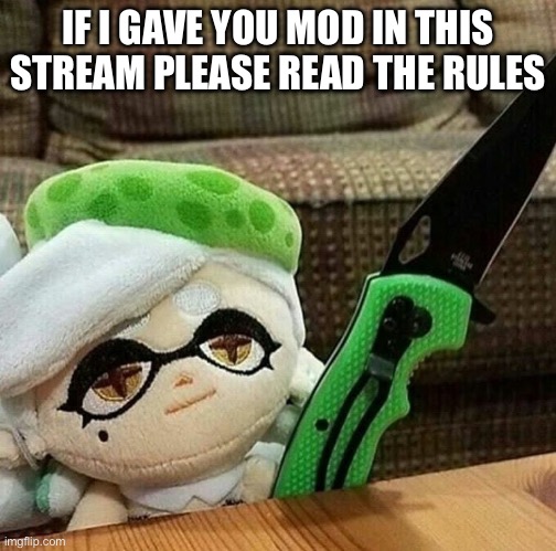 Marie plush with a knife | IF I GAVE YOU MOD IN THIS STREAM PLEASE READ THE RULES | image tagged in marie plush with a knife | made w/ Imgflip meme maker