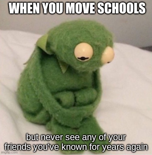 Sad Kermit | WHEN YOU MOVE SCHOOLS; but never see any of your friends you've known for years again | image tagged in sad kermit | made w/ Imgflip meme maker