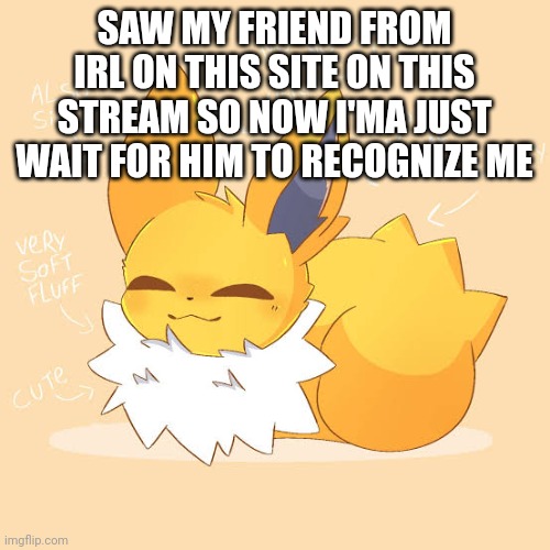 Hope he figures out | SAW MY FRIEND FROM IRL ON THIS SITE ON THIS STREAM SO NOW I'MA JUST WAIT FOR HIM TO RECOGNIZE ME | image tagged in loaf jolteon | made w/ Imgflip meme maker