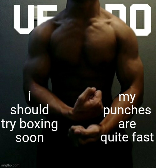 i lack a lotta boxing skills but i do know great self defence stuff than can possbly kill | i should try boxing soon; my punches are quite fast | image tagged in veno akifhaziq temp | made w/ Imgflip meme maker