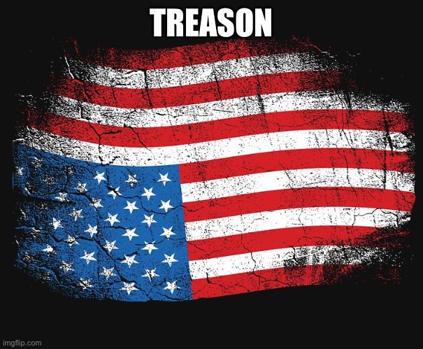 Treason | TREASON | image tagged in treason | made w/ Imgflip meme maker