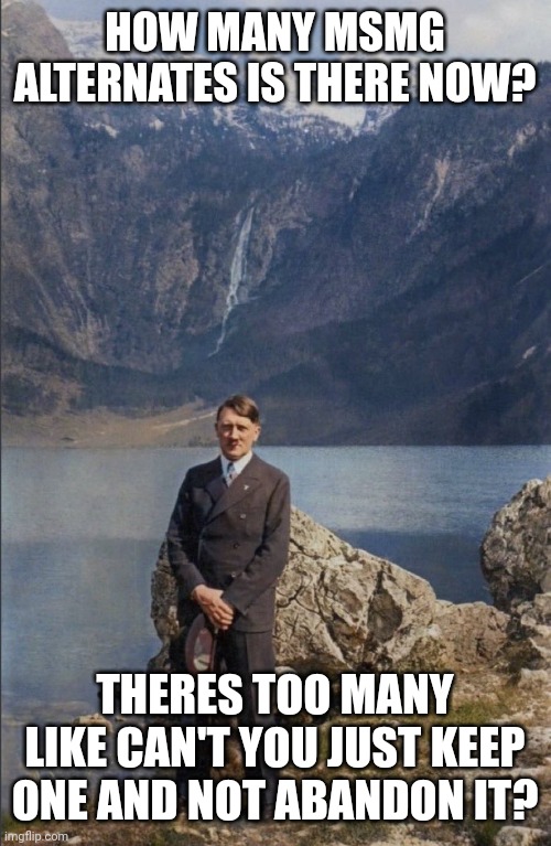 н | HOW MANY MSMG ALTERNATES IS THERE NOW? THERES TOO MANY LIKE CAN'T YOU JUST KEEP ONE AND NOT ABANDON IT? | made w/ Imgflip meme maker