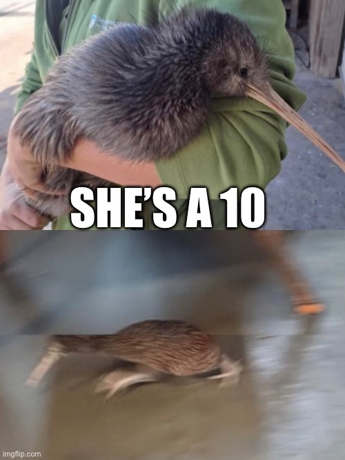 She’s a 10 but… | SHE’S A 10 | image tagged in memes,template | made w/ Imgflip meme maker