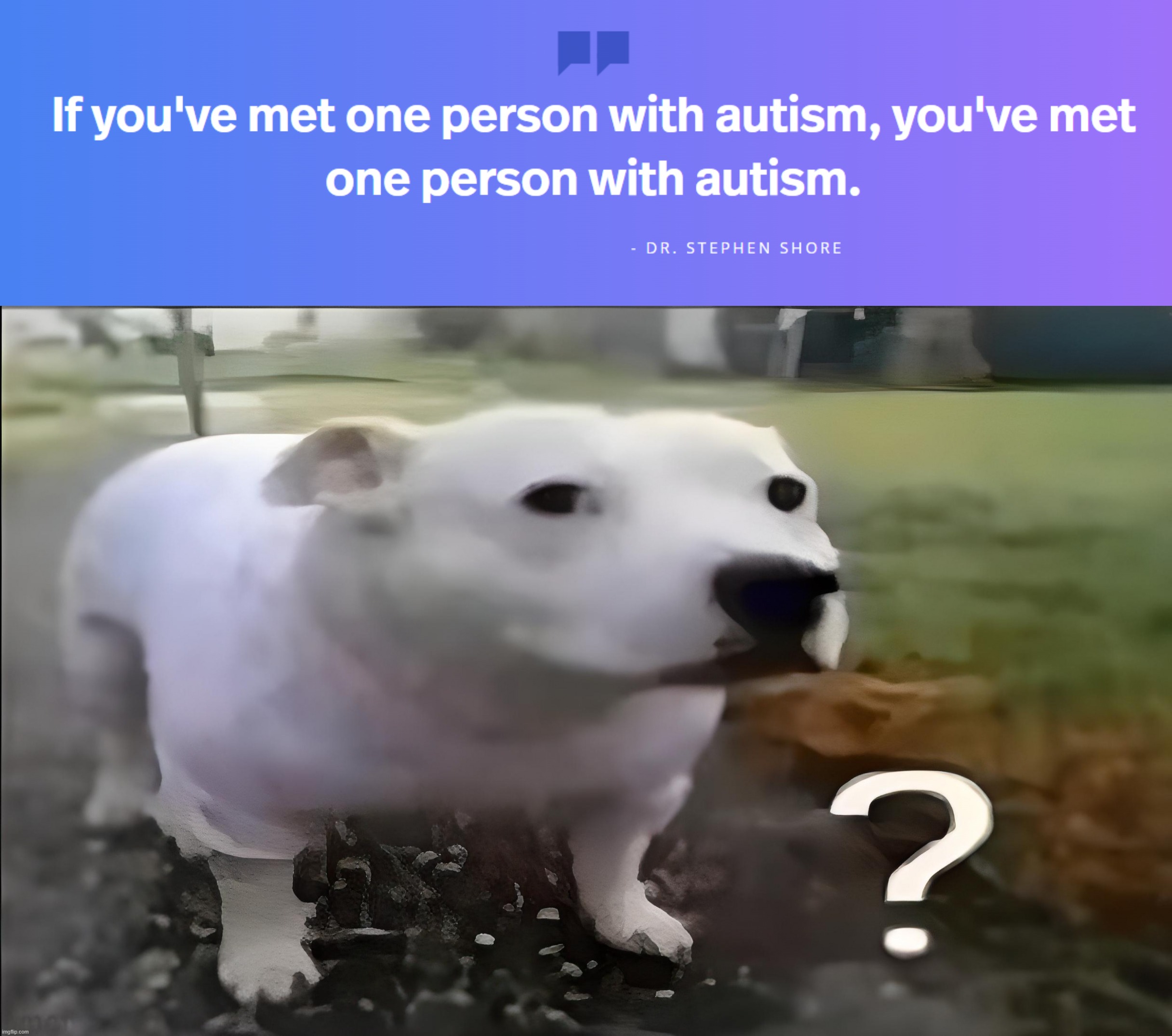 TF is Autism Speaks yapping about? ☠️ | image tagged in huh dog | made w/ Imgflip meme maker