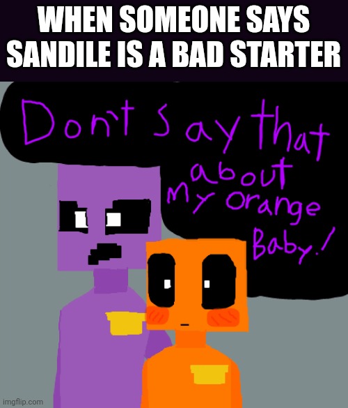 domt dare say that about my orange baby | WHEN SOMEONE SAYS SANDILE IS A BAD STARTER | image tagged in domt dare say that about my orange baby | made w/ Imgflip meme maker
