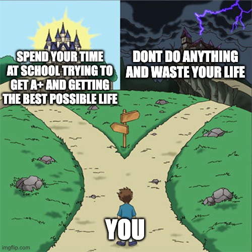 two paths... | DONT DO ANYTHING AND WASTE YOUR LIFE; SPEND YOUR TIME AT SCHOOL TRYING TO GET A+ AND GETTING THE BEST POSSIBLE LIFE; YOU | image tagged in two paths | made w/ Imgflip meme maker