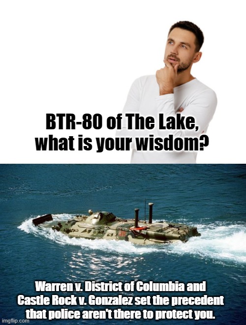 BTR-80 of The Lake | BTR-80 of The Lake, what is your wisdom? Warren v. District of Columbia and Castle Rock v. Gonzalez set the precedent that police aren't there to protect you. | image tagged in wisdom,btr | made w/ Imgflip meme maker