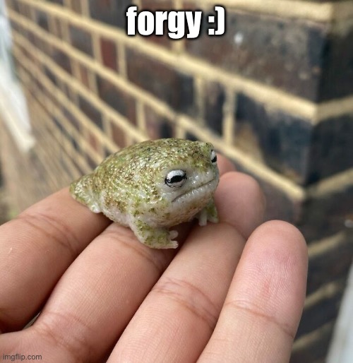 forgy :) | forgy :) | image tagged in forgy | made w/ Imgflip meme maker