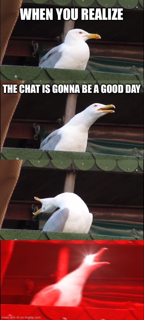 Inhaling Seagull | WHEN YOU REALIZE; THE CHAT IS GONNA BE A GOOD DAY | image tagged in memes,inhaling seagull | made w/ Imgflip meme maker
